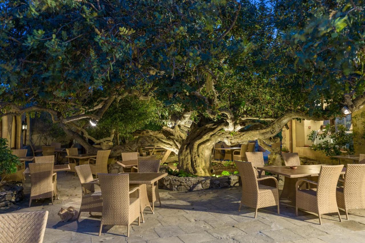 Ta' Cenc & Semesteranläggning (resort) Sannat